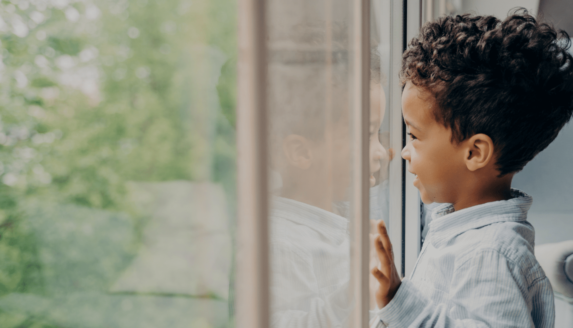 Catalogo 7 Película para Vidrio Templado